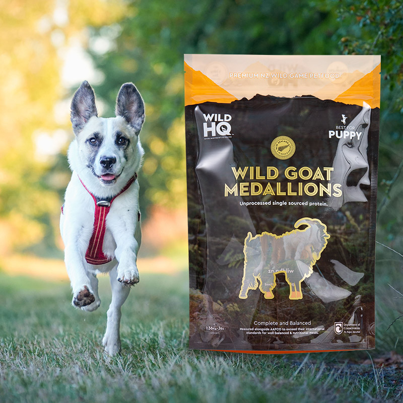 Barevný ekologický digitální tisk s nízkým sáčkem na kávu